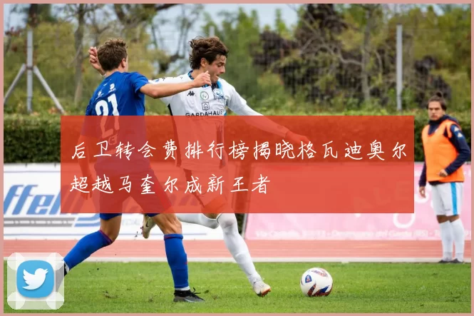 后卫转会费排行榜揭晓格瓦迪奥尔超越马奎尔成新王者