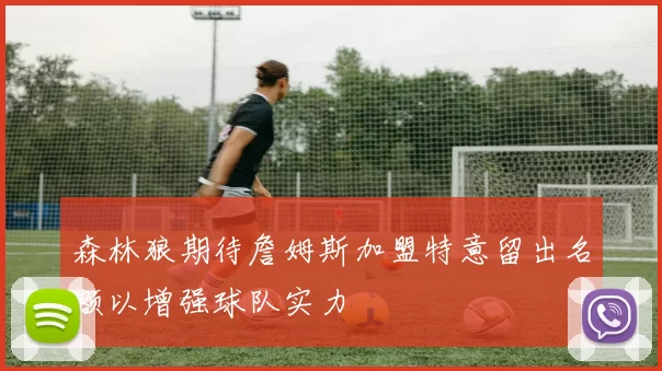 森林狼期待詹姆斯加盟特意留出名额以增强球队实力