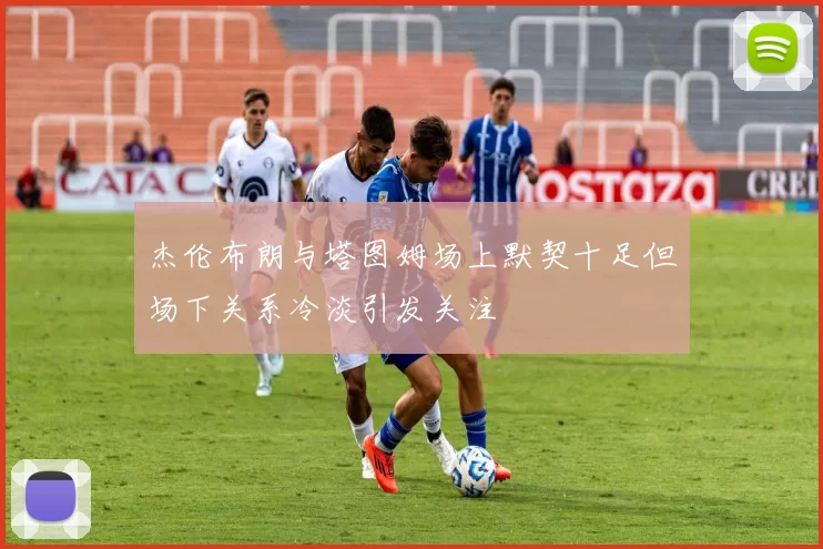 杰伦布朗与塔图姆场上默契十足但场下关系冷淡引发关注